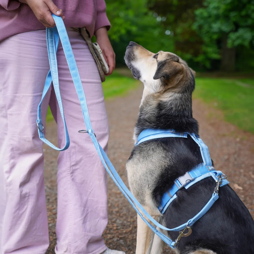 annyx Harness Fun Marshmallow