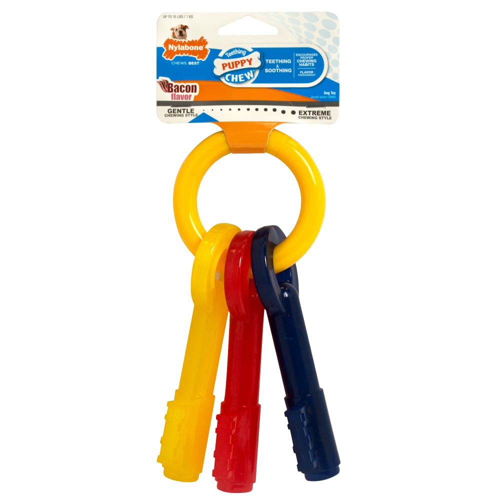NYLABONE Teething Keys Petite | Puppy