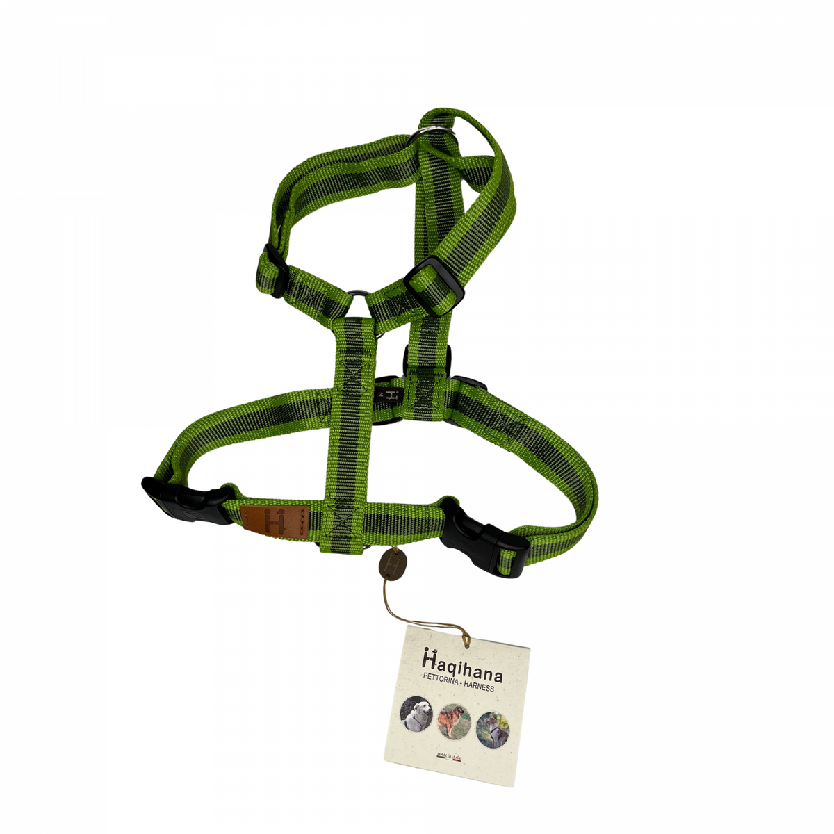 Haqihana Harness Felix