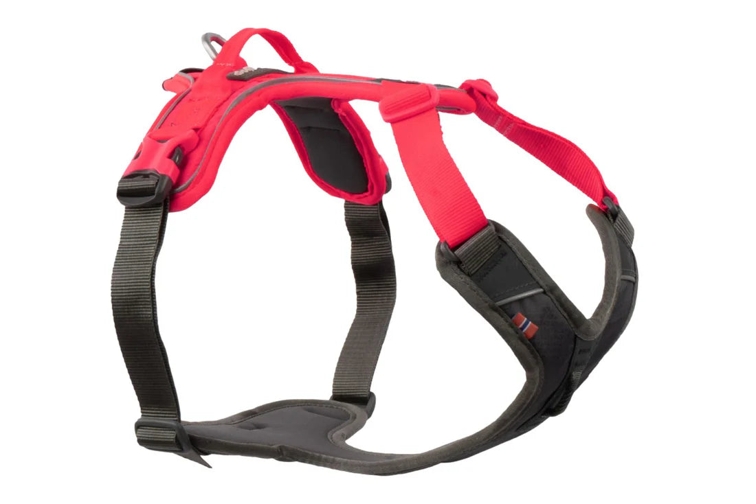 Non-stop dogwear Ramble Harness – Pre-order
