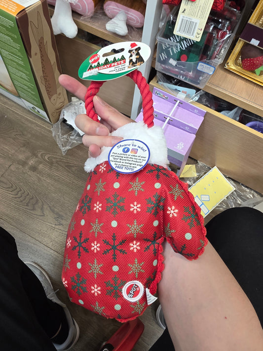 Spot toy Christmas 1