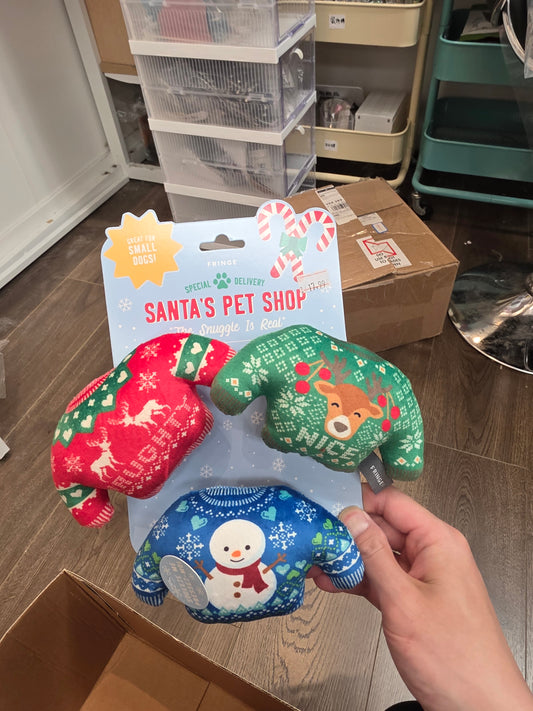 Special delivery santa's pet shop