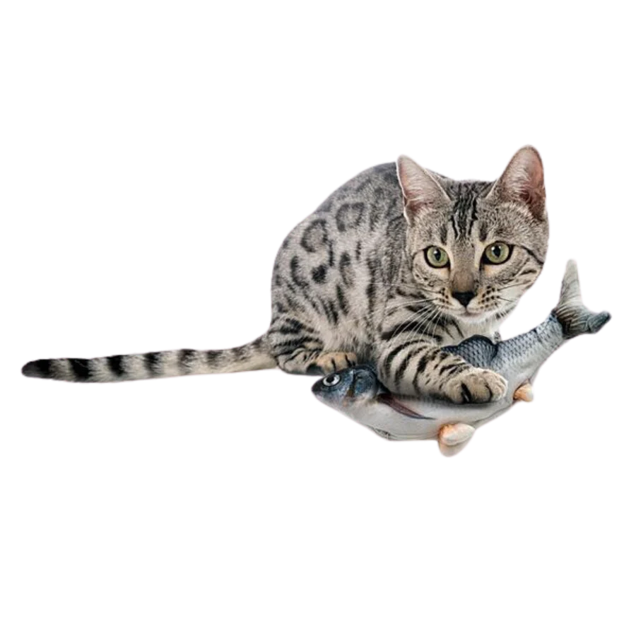 ZIP KITTY Floppy Fish Interactive Toy | Cat
