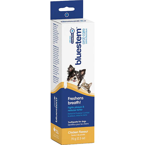 BLUESTEM Toothpaste Chicken 70G | Dog & Cat