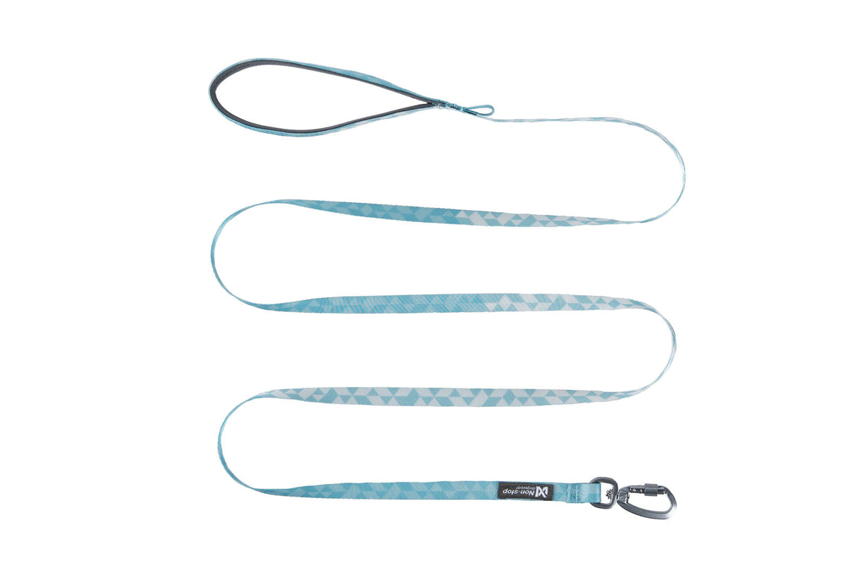 Trail quest leash ice blue