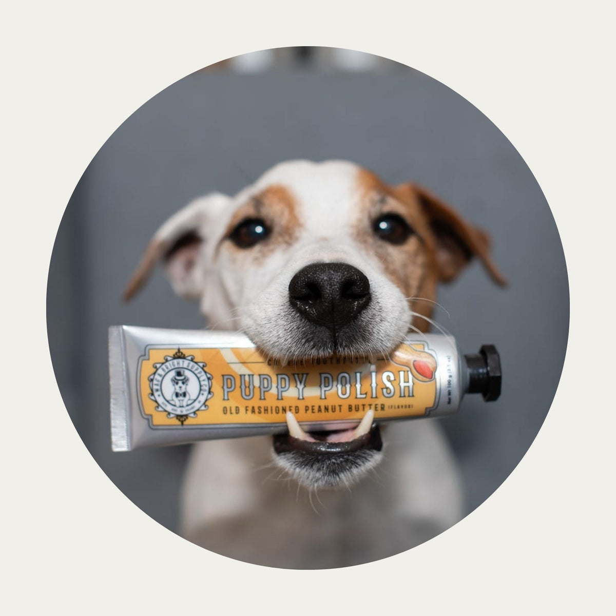 Wag & Bright Puppy Polish toothpaste with dog