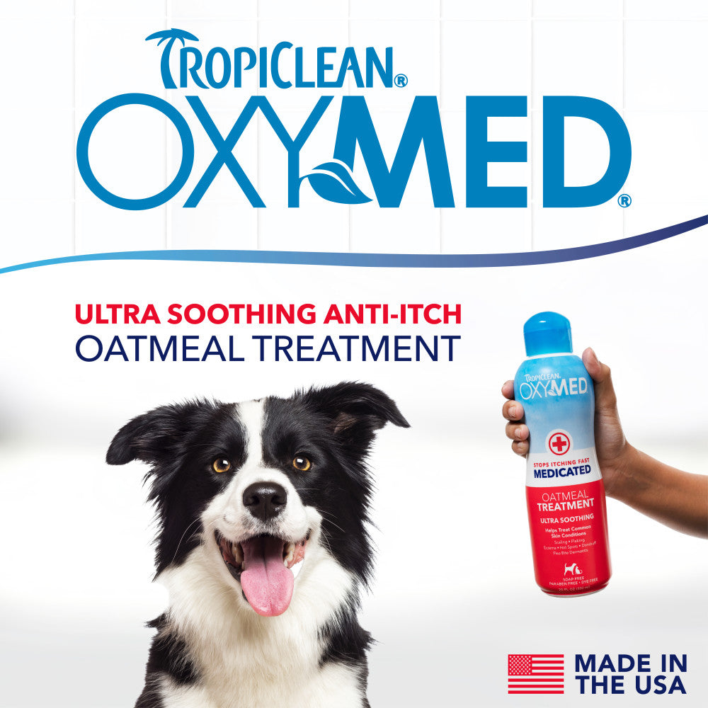 TropiClean OxyMed Medicated Anti-Itch Oatmeal Conditioning Treatment for Dogs & Cats – lifestyle image