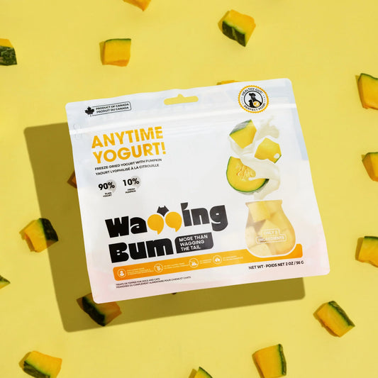 WAGGING BUM FD Anytime Yogurt! With Pumpkin 2OZ