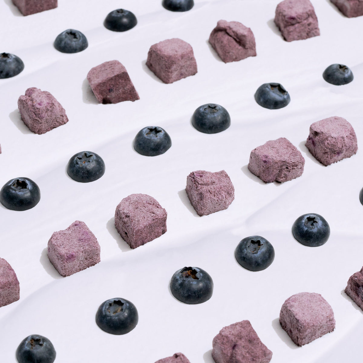 Wagging Bum Anytime Yogurt! Freeze-Dried Blueberry Dog Treats – 2 oz