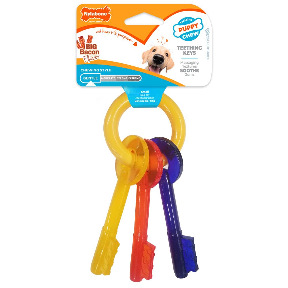 Nylabone Puppy Chew Teething Keys Dog Chew Toy