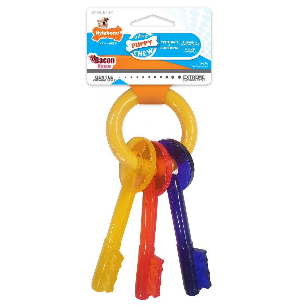 NYLABONE Teething Keys Regular | Puppy