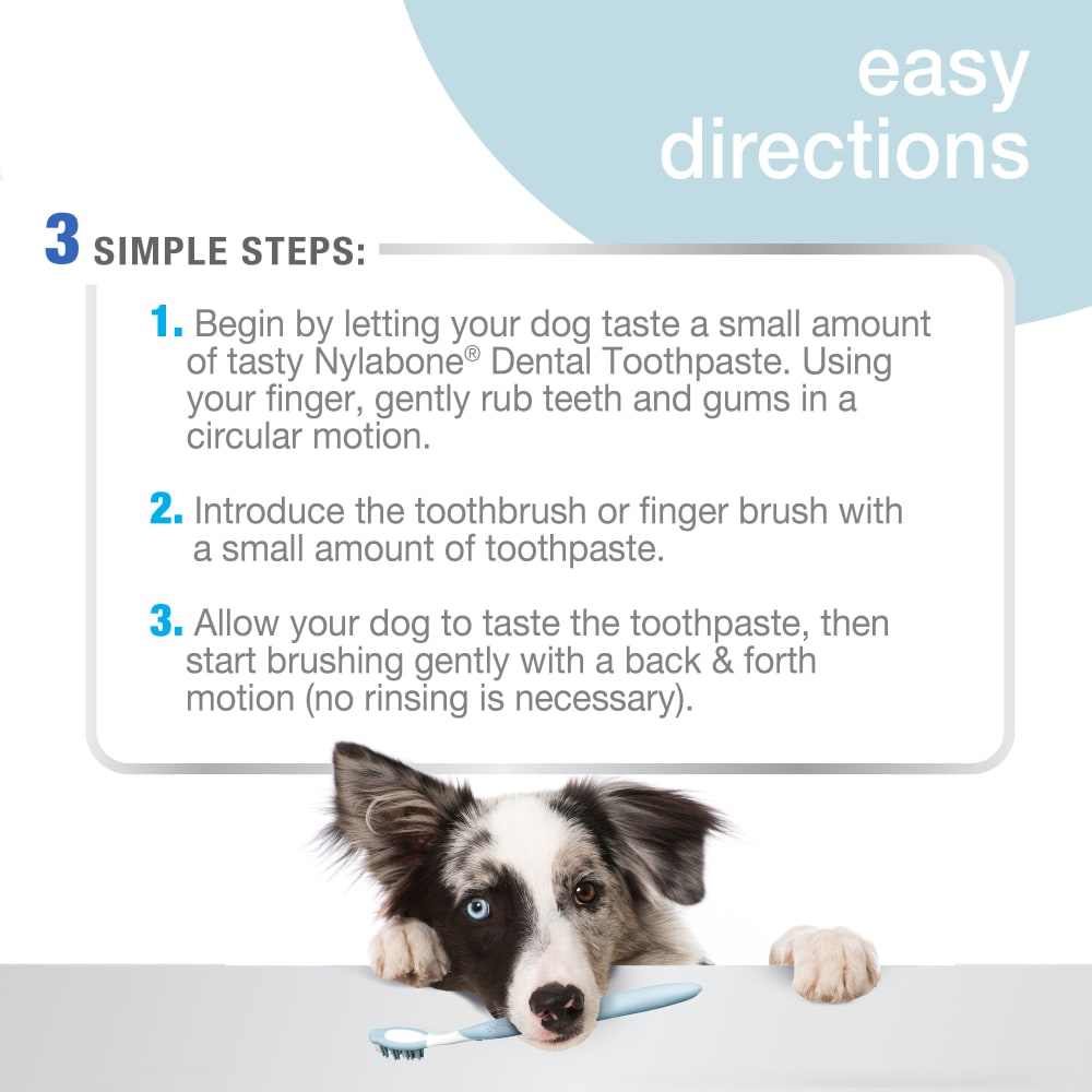 NYLABONE Advance Oral Care Tartar Control Toothpaste