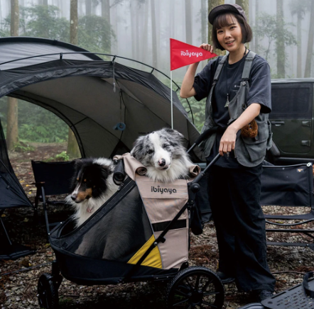 Minika 3-in-1 Pet Stroller System Foldable Dog Bicycle Trailer & Soft Crate Kennel