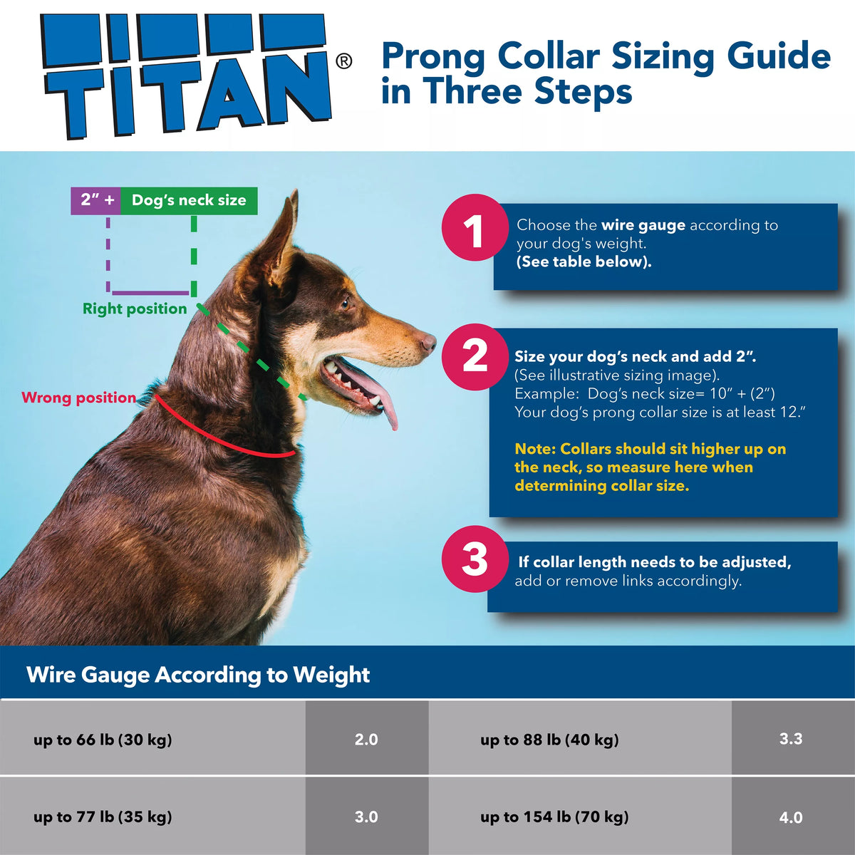 Titan Prong Training Collar detail