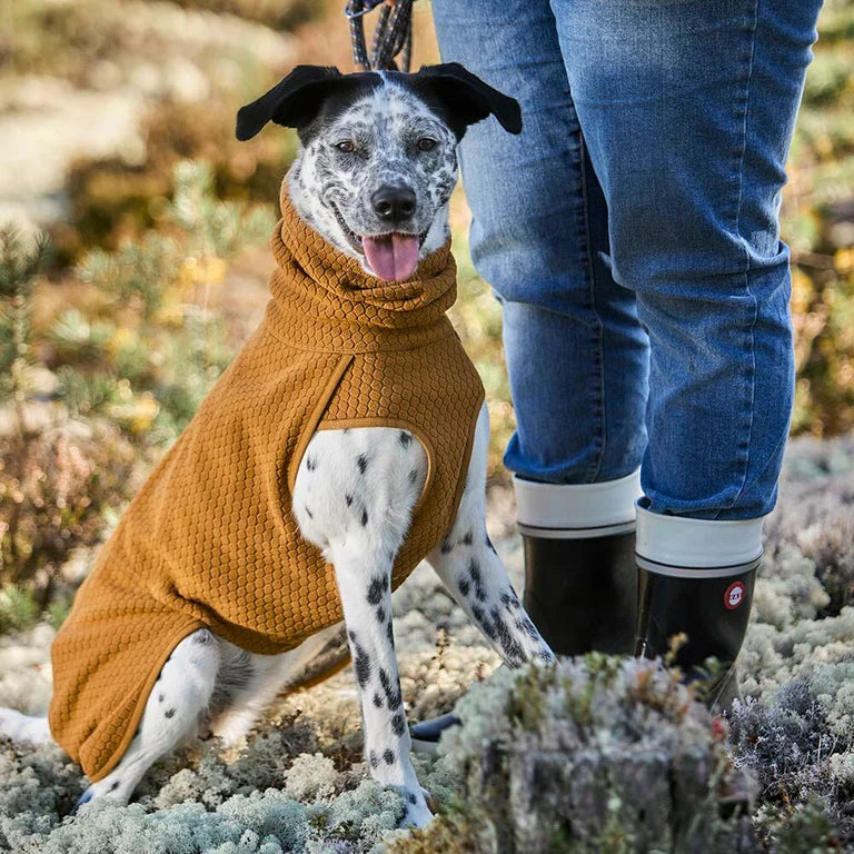 [Presale]Warming Midlayer ECO Dog Jacket
