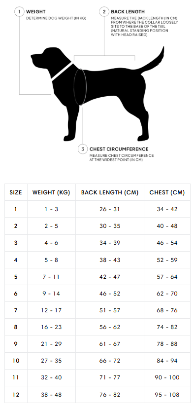 [Presale]Dachshund Raincoat Dublin 2.0 Dark Olive