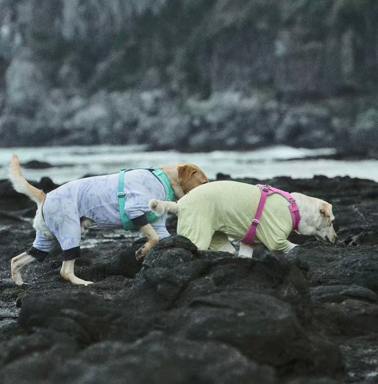 Merlot cooling vest and suit
