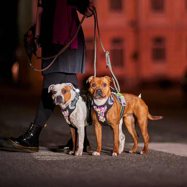 [Presale]Weekend Warrior Neon Harness II