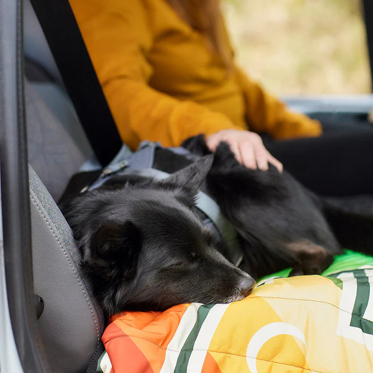 [Presale]Travel Harness ECO