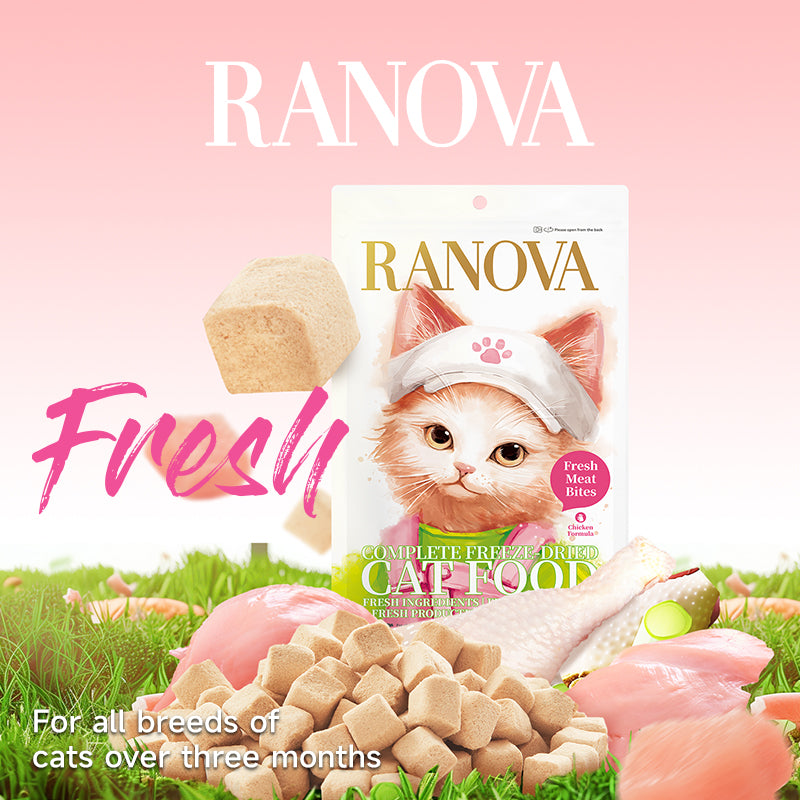 Ranova Complete Freeze-dried Cat Food - Chicken Formula, 100g