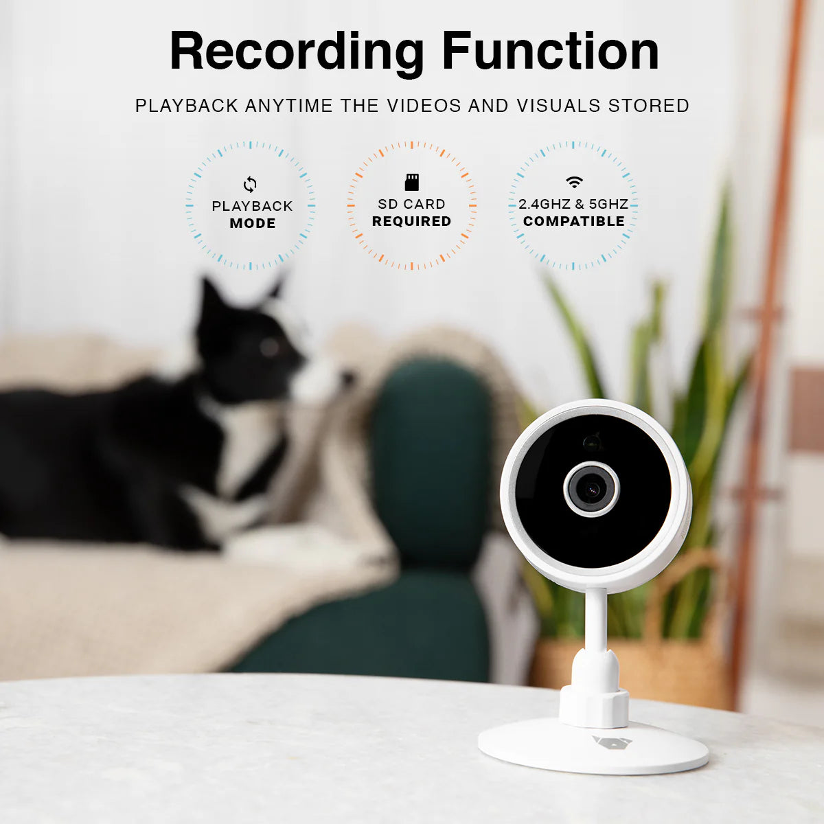 Instachew Purrsight Mini Smart App Enabled Camera with 2 Way Audio for Cats and Dogs