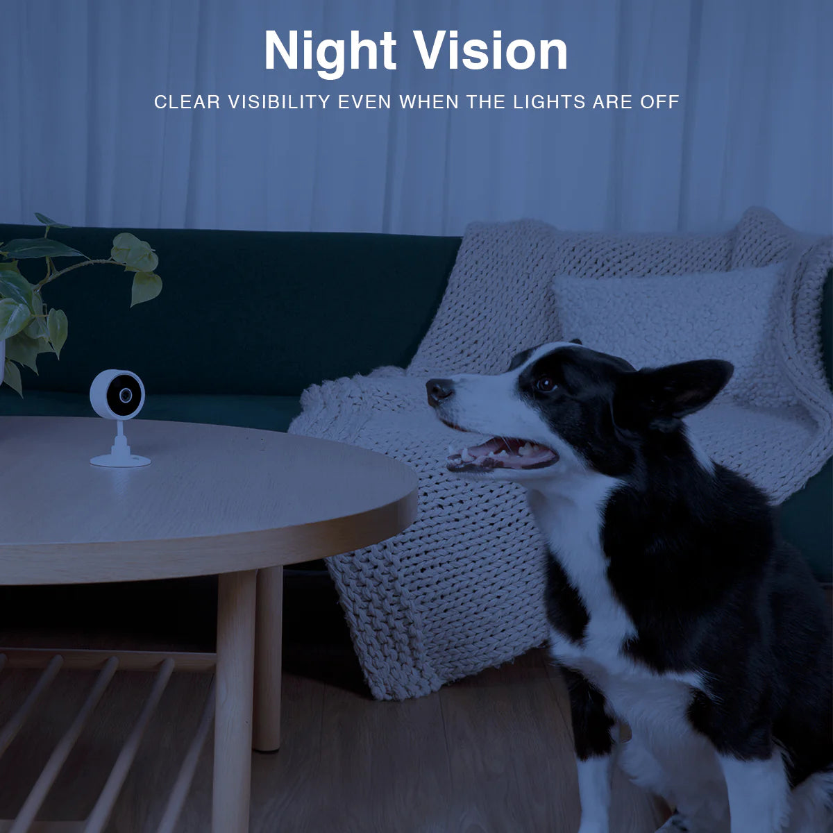 Instachew Purrsight Mini Smart App Enabled Camera with 2 Way Audio for Cats and Dogs