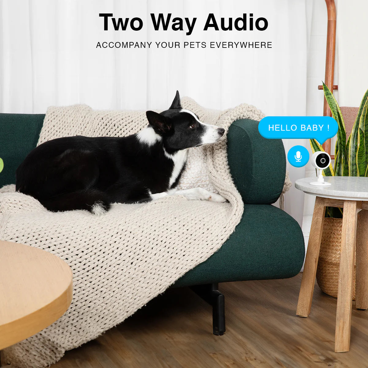Instachew Purrsight Mini Smart App Enabled Camera with 2 Way Audio for Cats and Dogs
