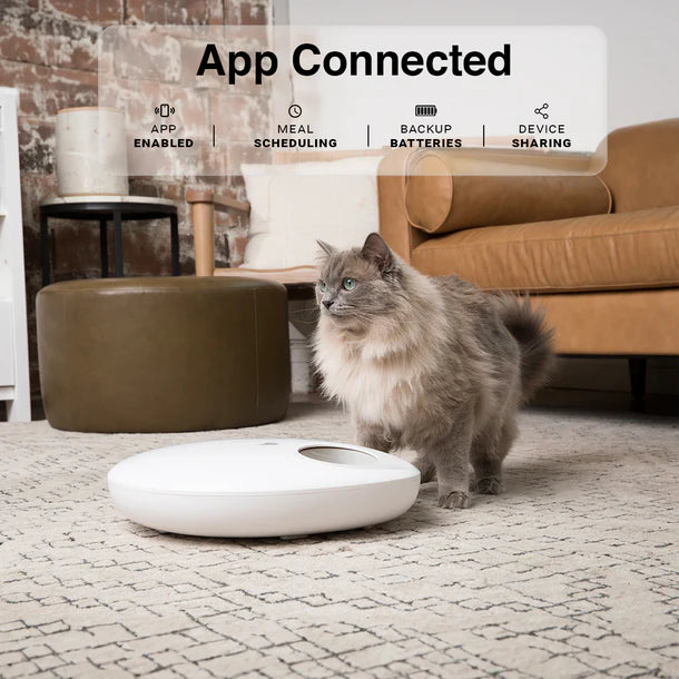 Instachew Purechew Mix 5 Meal Smart App Enabled Feeder for Cats and Dogs