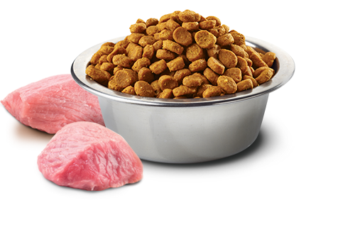 Farmina N&D Prime Boar & Apple Adult Grain-Free Dry Cat Food – in bowl