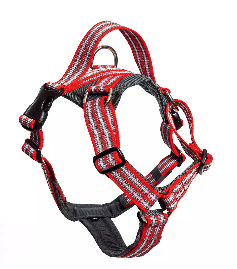 Metizo Dezignign harness with handle