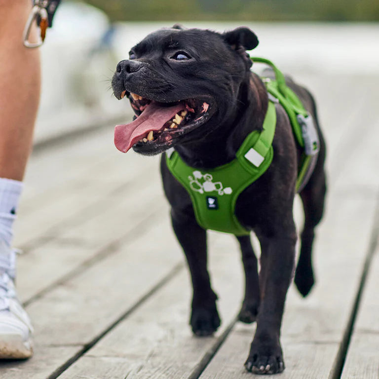 [Presale]Weekend Warrior Harness II ECO