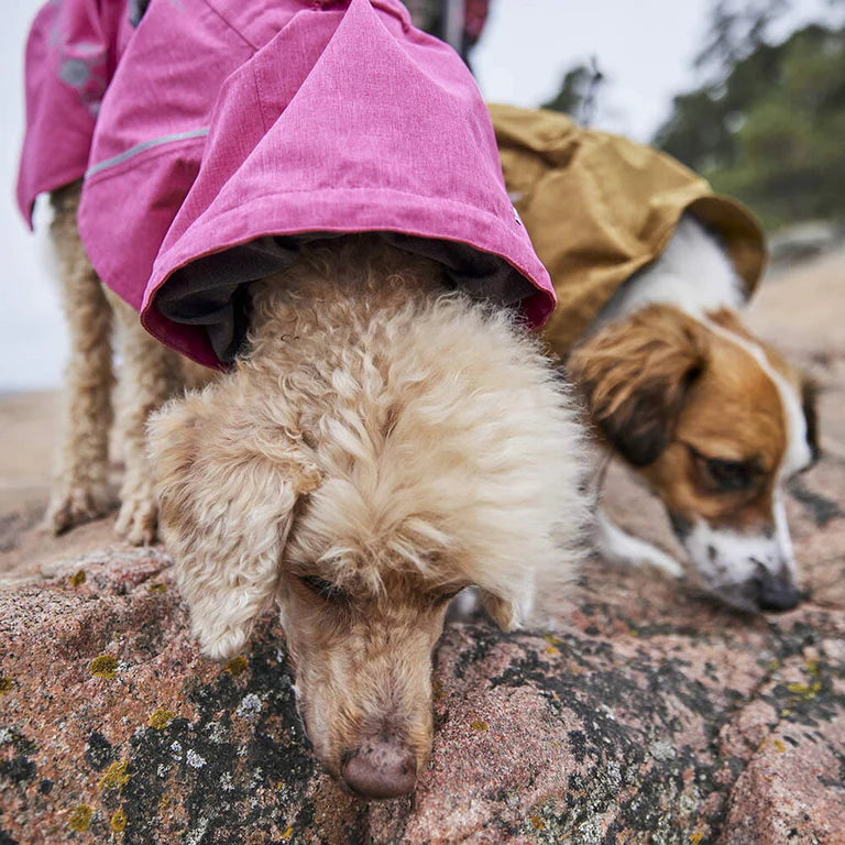 [Presale]Monsoon Coat II ECO