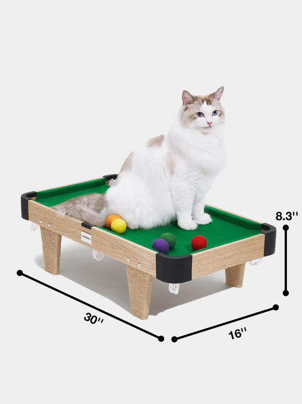 Vetreska Meownooker Cat Toy Set | Pool Table for cats