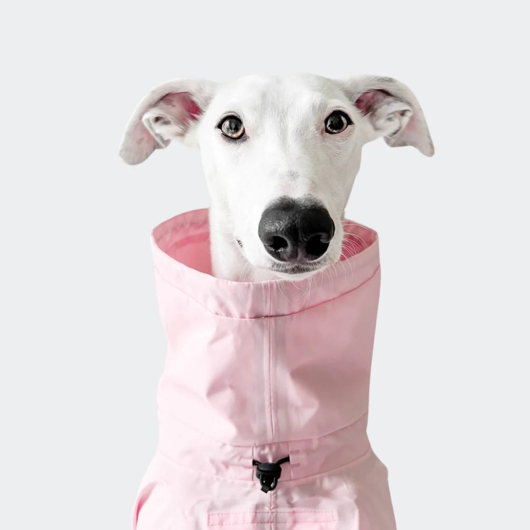 [Presale]Dog Raincoat AKTIV PeachNeon Pink