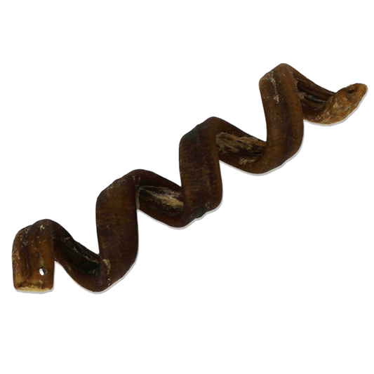 Open Range Water Buffalo Bully Spiral 6-7&quot