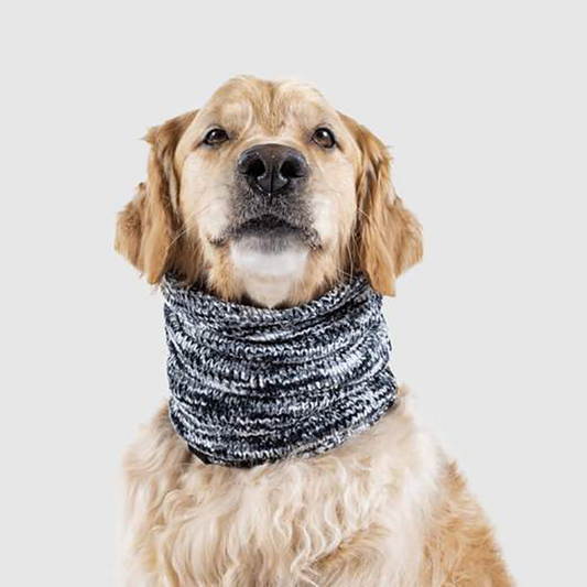 Canada Pooch Chenille Snood Grey S