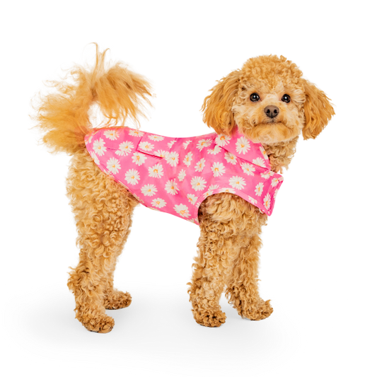 Canada Pooch Pick Me Poncho Daisy