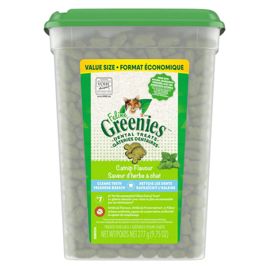 GREENIES Dental Treat Catnip 9.75OZ (4) | Cat