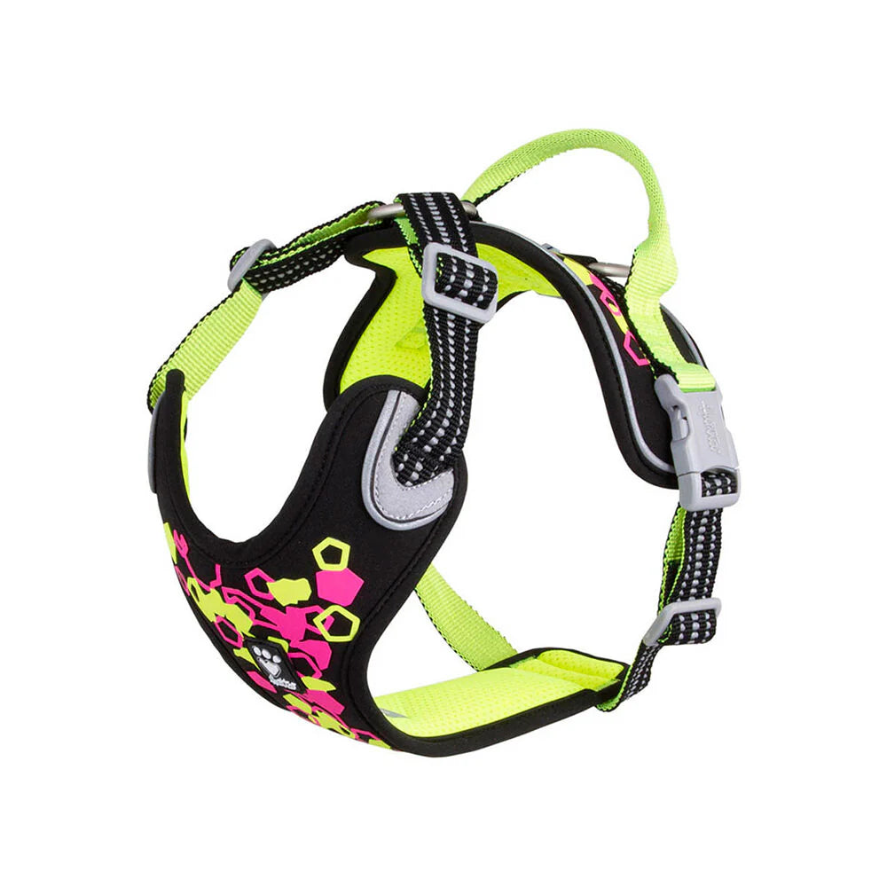 [Presale]Weekend Warrior Neon Harness II