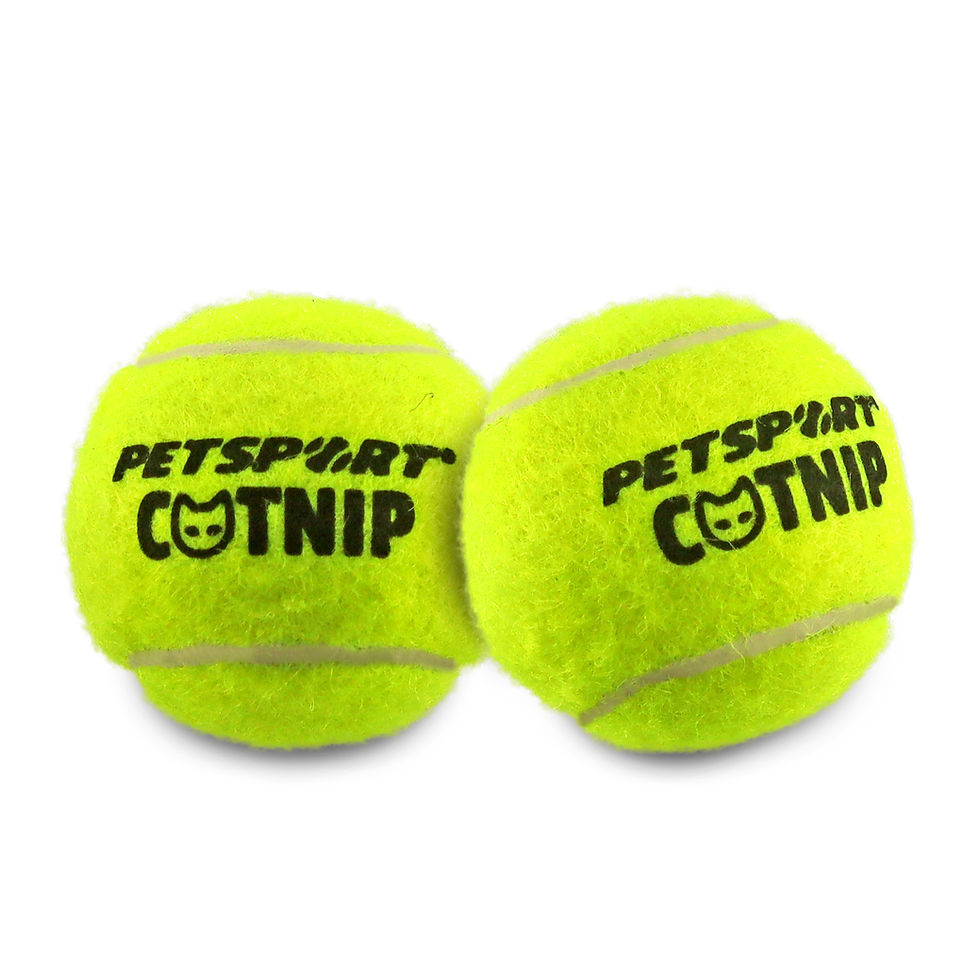 Petsport Catnip Balls cat toy