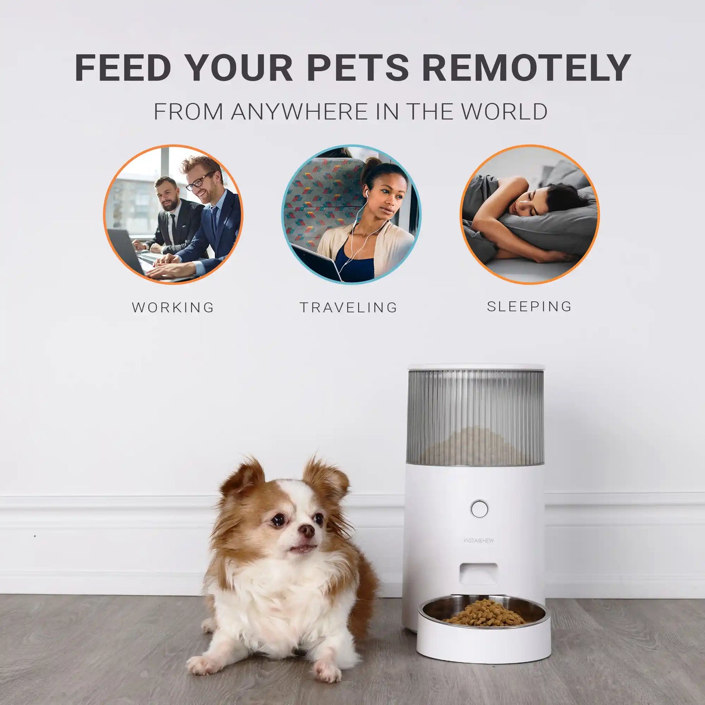 Instachew Purechew Mini Smart Pet Feeder