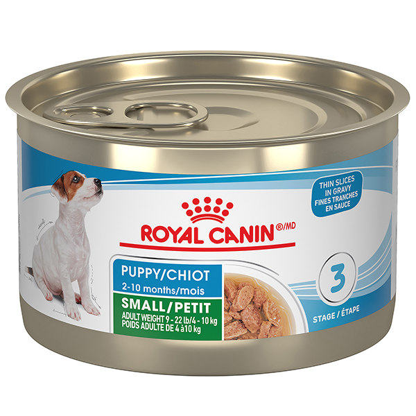 RC SHN Small Breed Puppy Thin Slices in Gravy 24/145g
