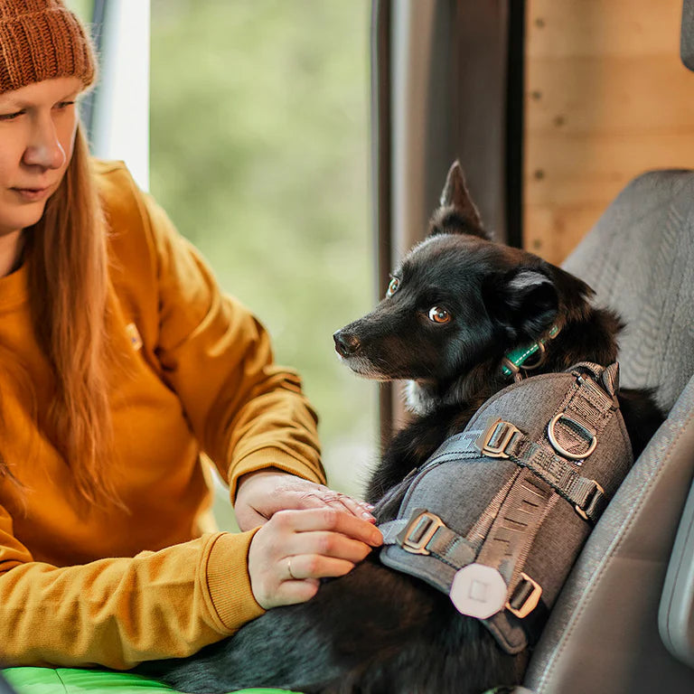 [Presale]Travel Harness ECO