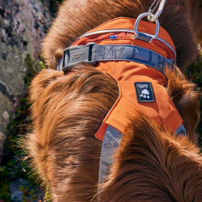 [Presale]Rover Harness