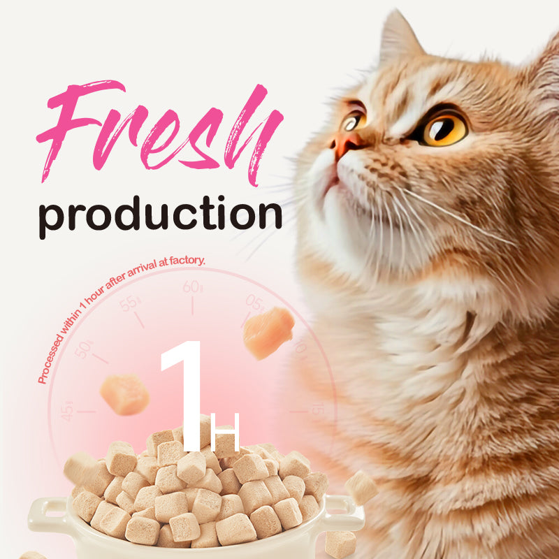 Ranova Complete Freeze-dried Cat Food - Chicken Formula, 100g