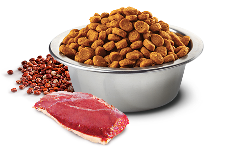 Farmina N&D Quinoa Urinary Duck Dry Cat Food – in bowl