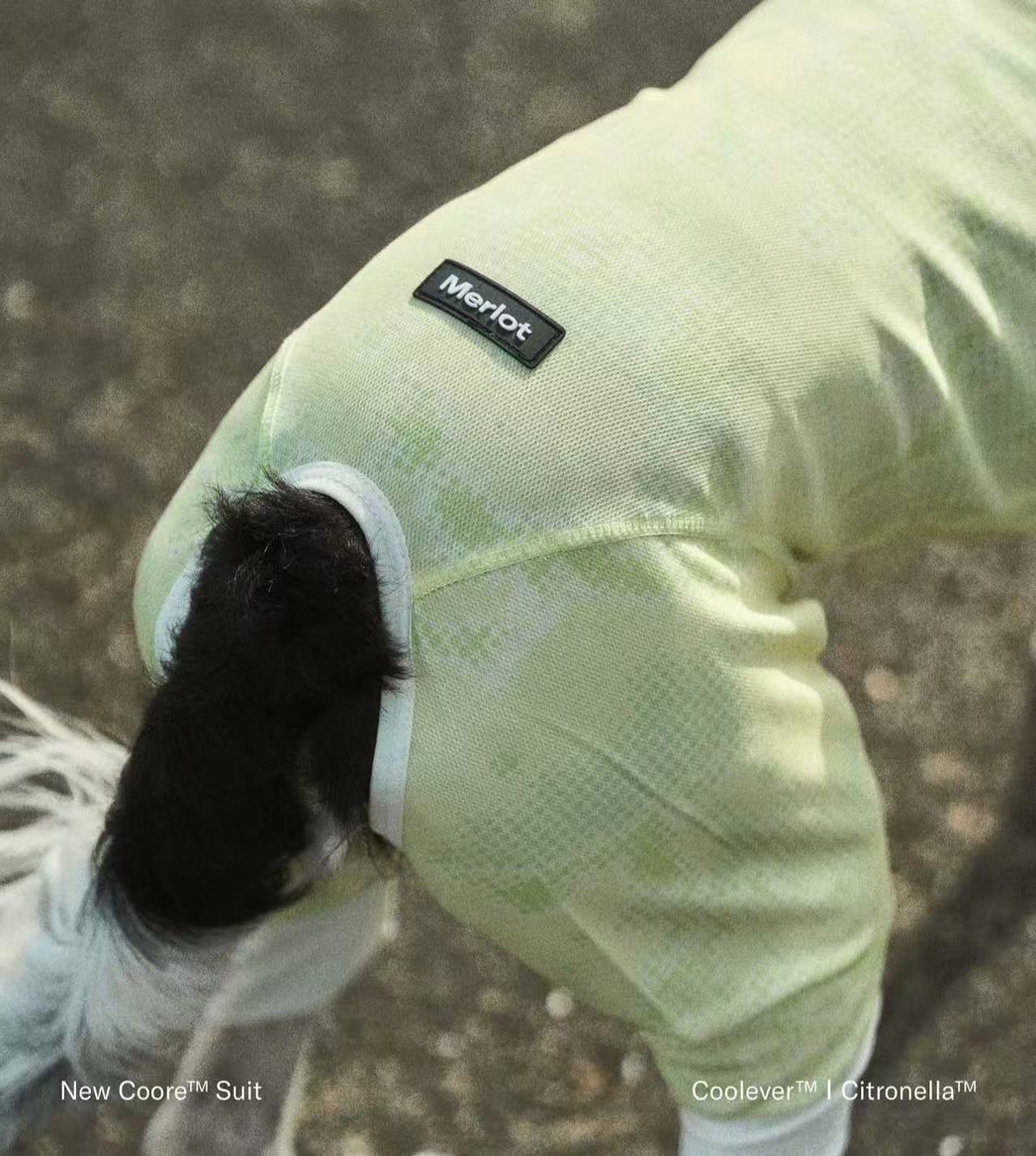 Merlot cooling vest and suit