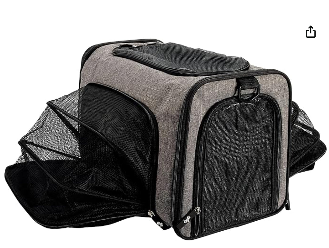 Explorer soft carrier