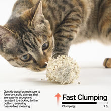 Pidan Tofu 60%, Bentonite Clay 30%, Cassava 10% Cat Litter 2.4 kg per bag | PD1606M1