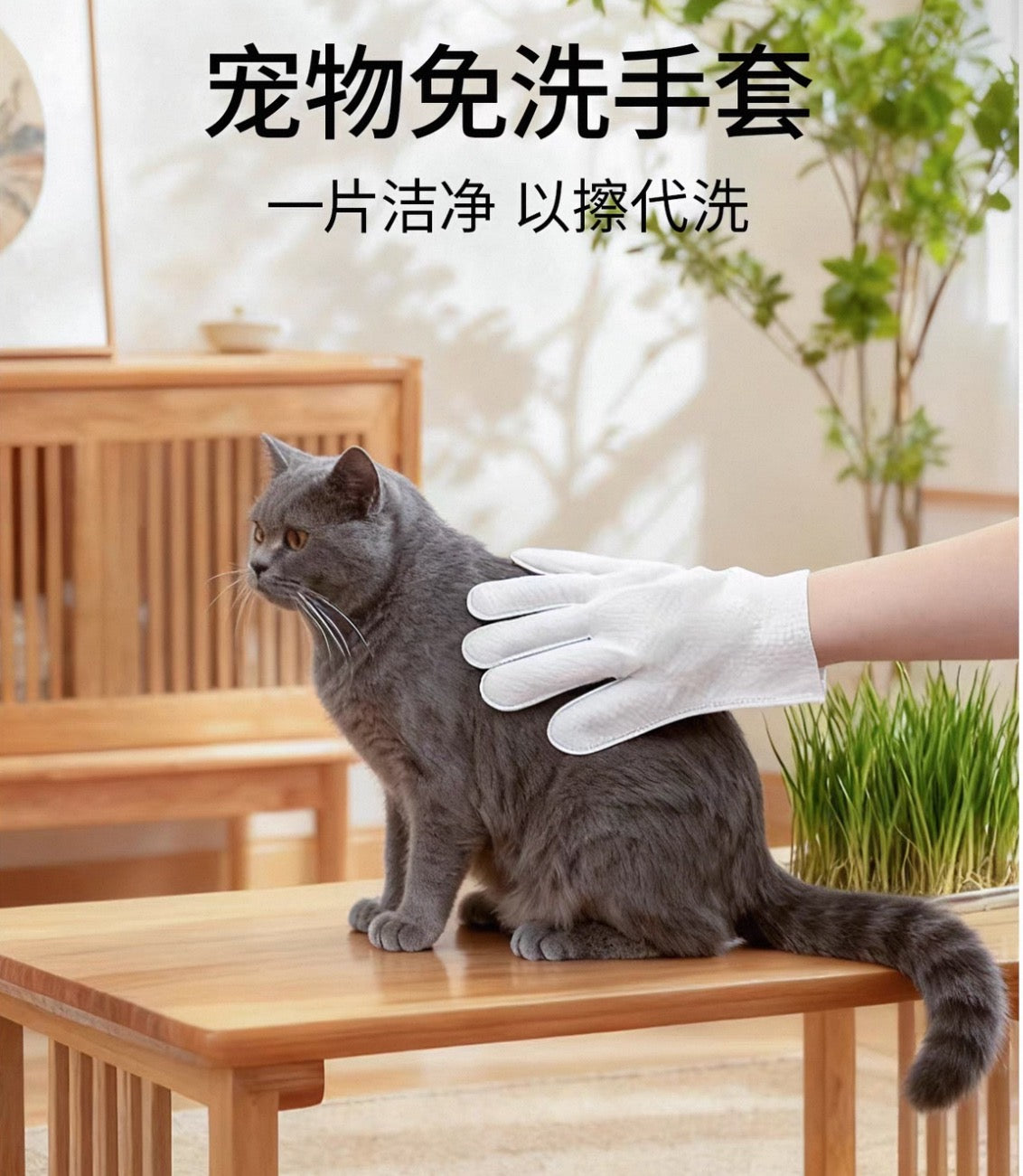 Mango CLEANING GLOVE WIPE免洗手套 10pcs